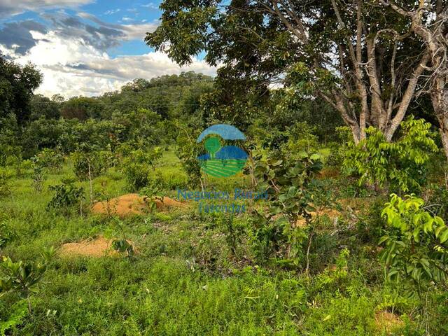 Fazenda para Venda em Minaçu - 4