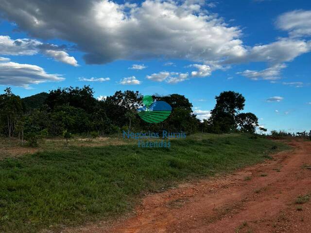 Fazenda para Venda em Minaçu - 2