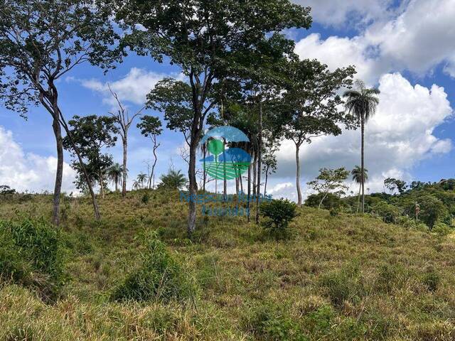Fazenda para Venda em Campinorte - 3