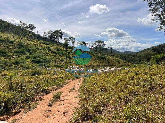 Fazenda para Venda em Campinorte - 5