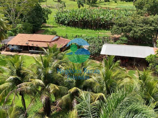 Fazenda para Venda em Campinorte - 2