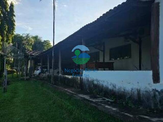 Fazenda para Venda em Itapirapuã - 3