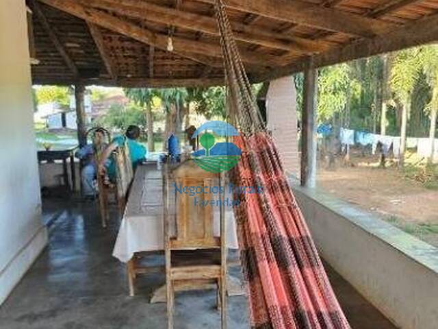 Fazenda para Venda em Itapirapuã - 5