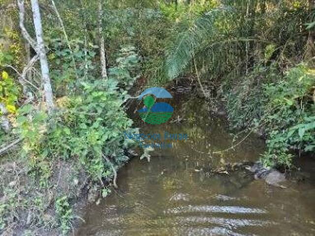 Fazenda para Venda em Itapirapuã - 2