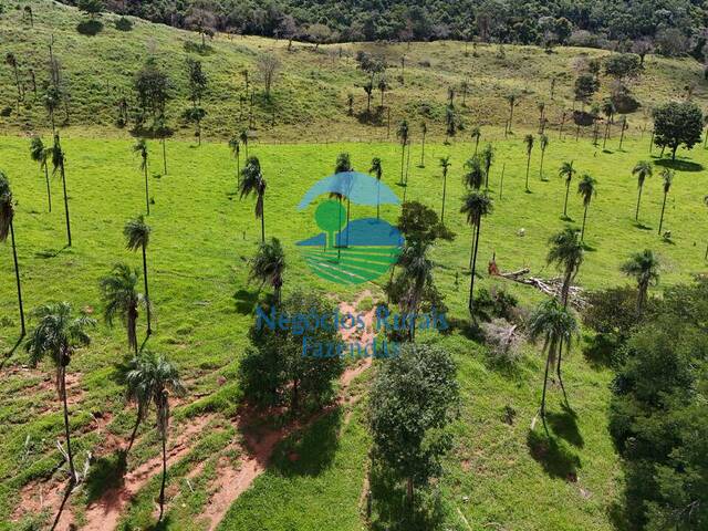 Fazenda para Venda em Campinaçu - 3