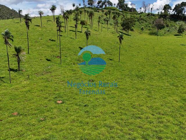 Fazenda para Venda em Campinaçu - 4