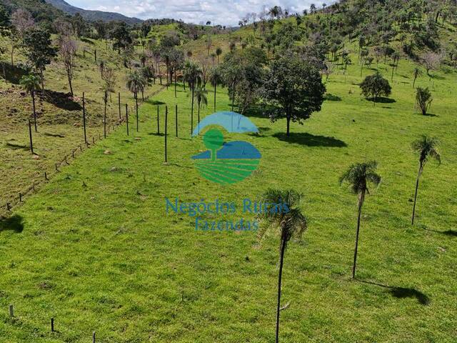 Fazenda para Venda em Campinaçu - 5