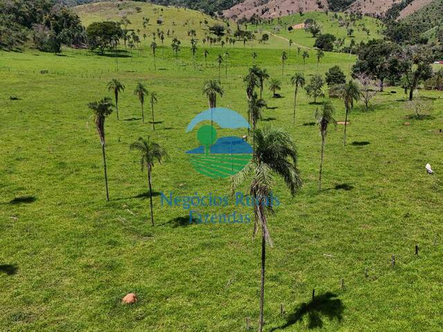 Fazenda para Venda em Campinaçu - 2