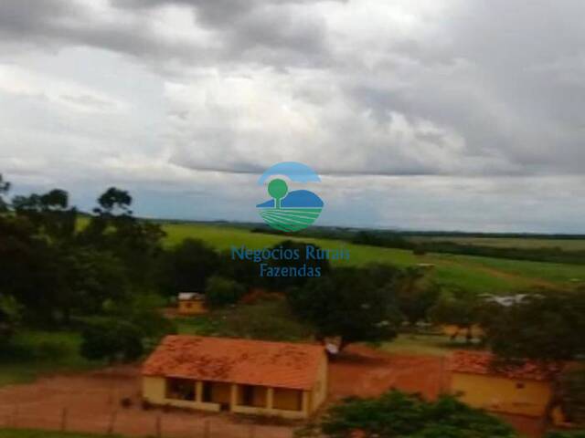 Fazenda para Venda em Taguatinga - 5