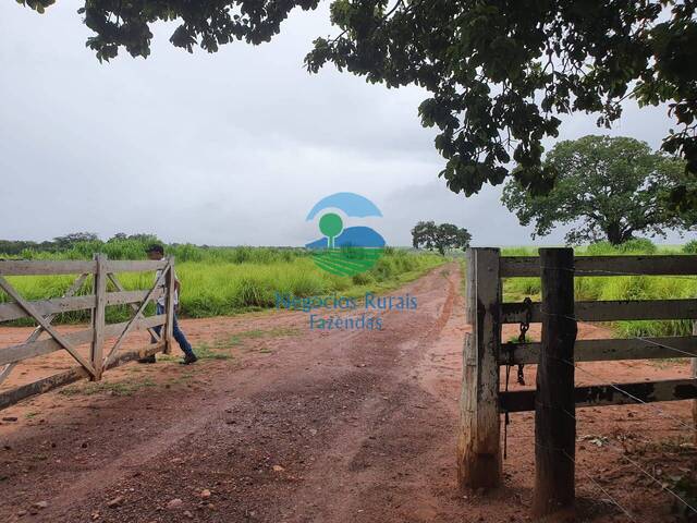 Fazenda para Venda em Taguatinga - 2