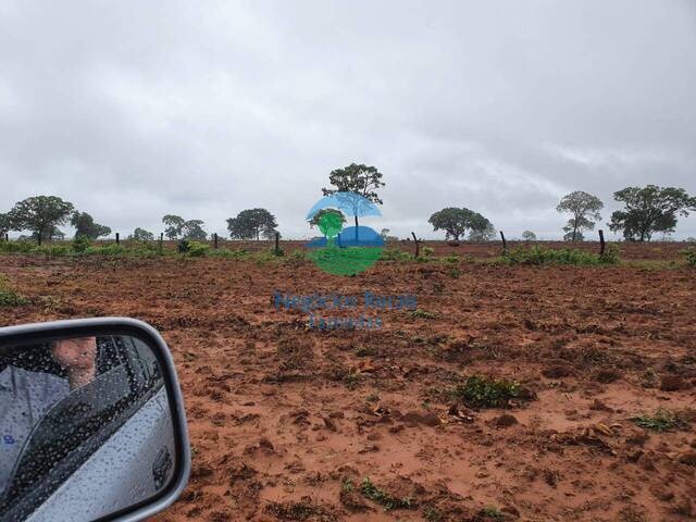 Fazenda para Venda em Taguatinga - 3