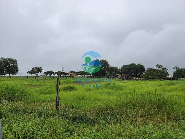 Fazenda para Venda em Taguatinga - 4