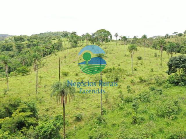 Fazenda para Venda em Padre Bernardo - 2