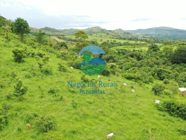 Fazenda para Venda em Padre Bernardo - 5