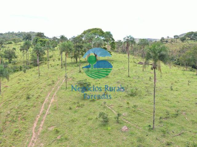 Venda em ZONA RURAL - Padre Bernardo