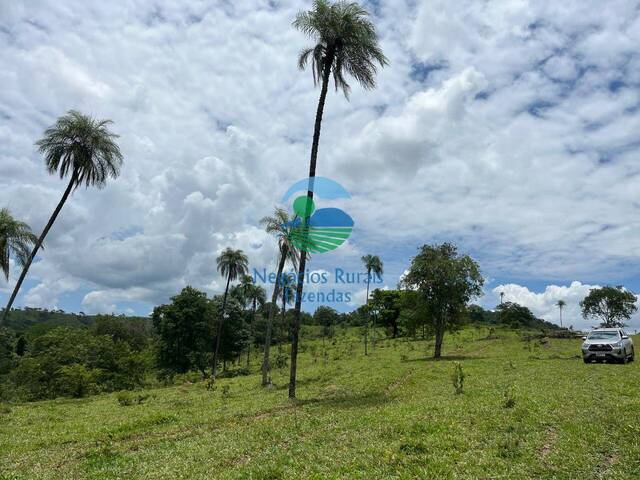 Fazenda para Venda em Padre Bernardo - 3