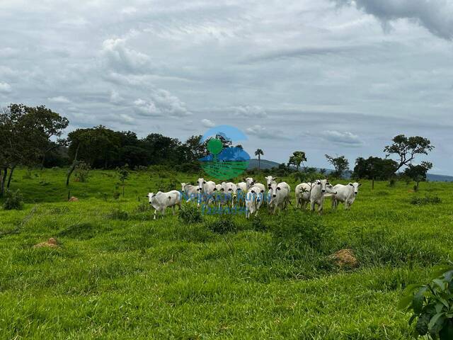 Fazenda para Venda em Padre Bernardo - 4