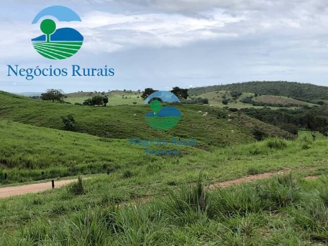 Venda em Zona rural - Formoso