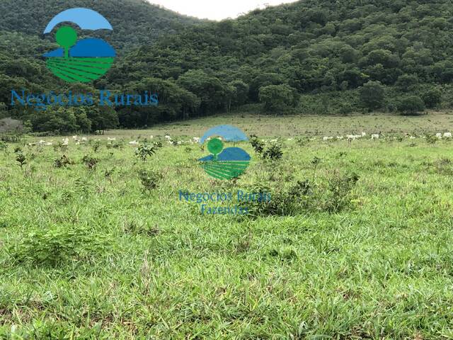 Fazenda para Venda em Formoso - 5
