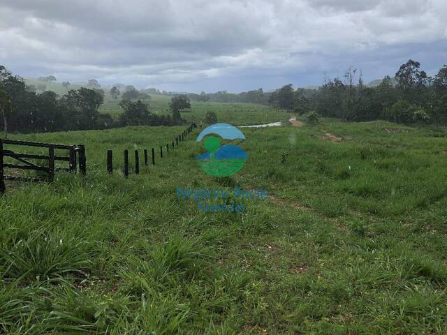 #642 - Fazenda para Venda em Formoso - GO - 3