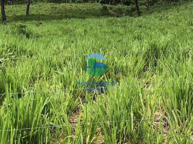 #642 - Fazenda para Venda em Formoso - GO - 2
