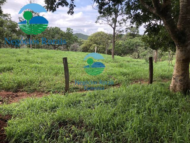 Fazenda para Venda em Formoso - 4
