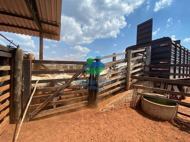#643 - Fazenda para Venda em Darcinópolis - TO - 3