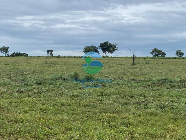 Fazenda para Venda em Darcinópolis - 5