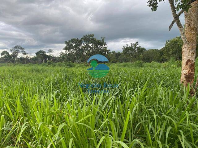 #643 - Fazenda para Venda em Darcinópolis - TO - 2