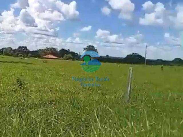 #644 - Fazenda para Venda em Mundo Novo - GO - 3