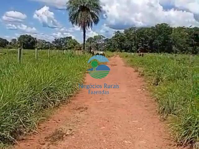 #644 - Fazenda para Venda em Mundo Novo - GO - 2