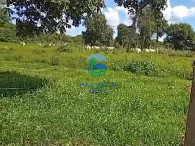 Fazenda para Venda em Mundo Novo - 5