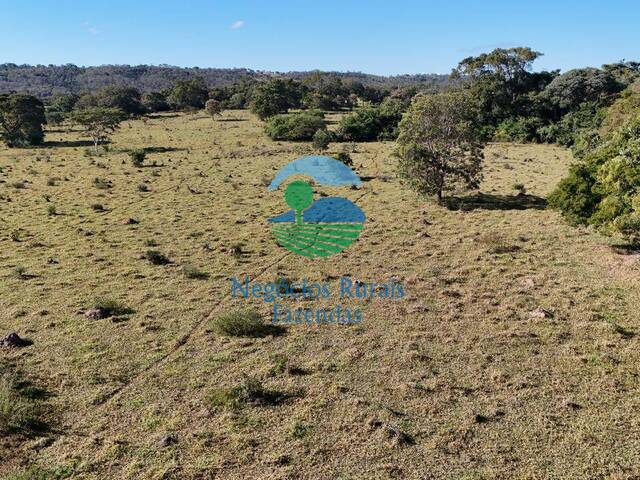 Fazenda para Venda em Luziânia - 3