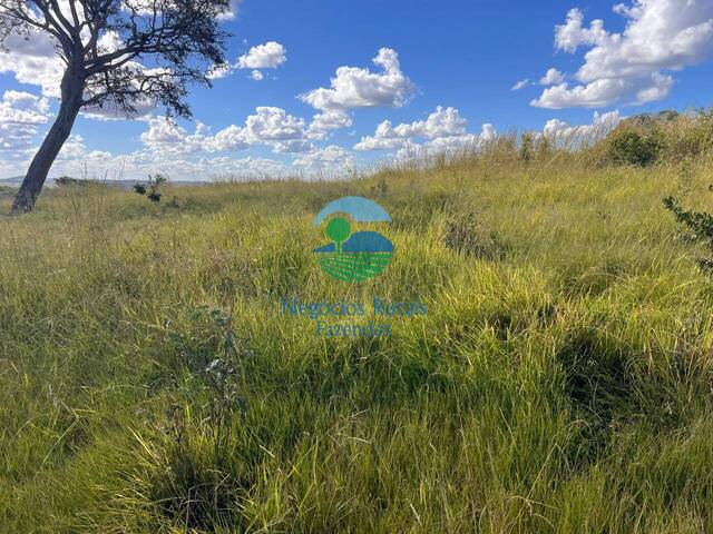 Fazenda para Venda em Ipameri - 2