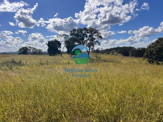 Fazenda para Venda em Ipameri - 3