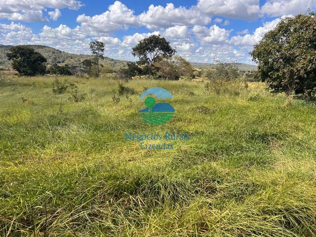 Fazenda para Venda em Ipameri - 4
