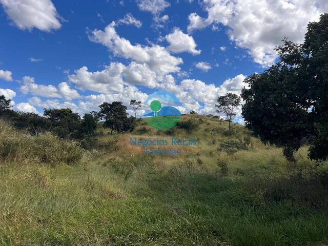 Fazenda para Venda em Ipameri - 5
