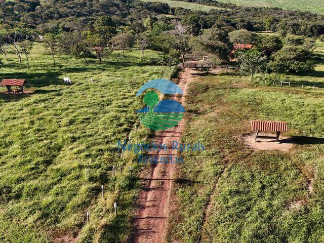 Fazenda para Venda em Urutaí - 4