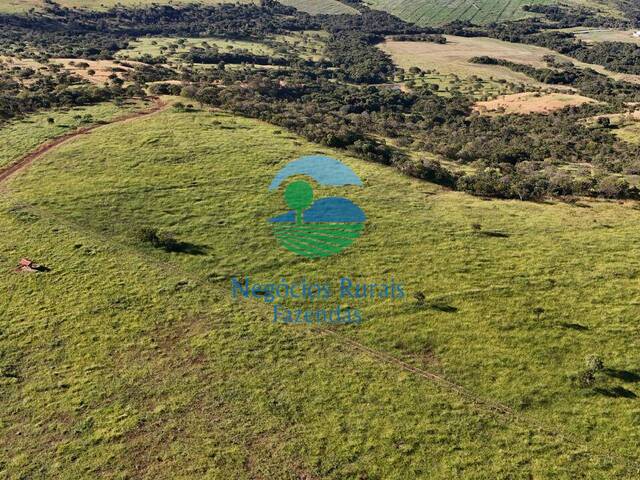 Fazenda para Venda em Urutaí - 3