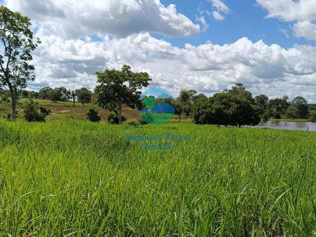 Fazenda para Venda em Amaralina - 2