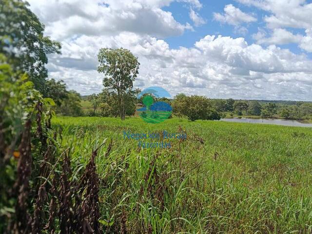 Fazenda para Venda em Amaralina - 3