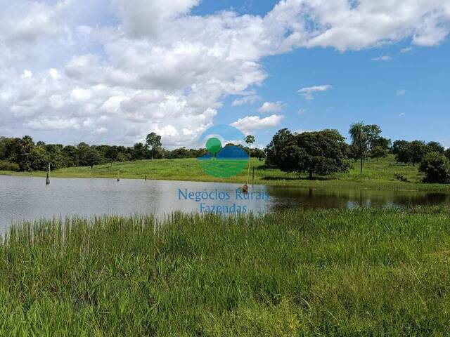 Fazenda para Venda em Amaralina - 5