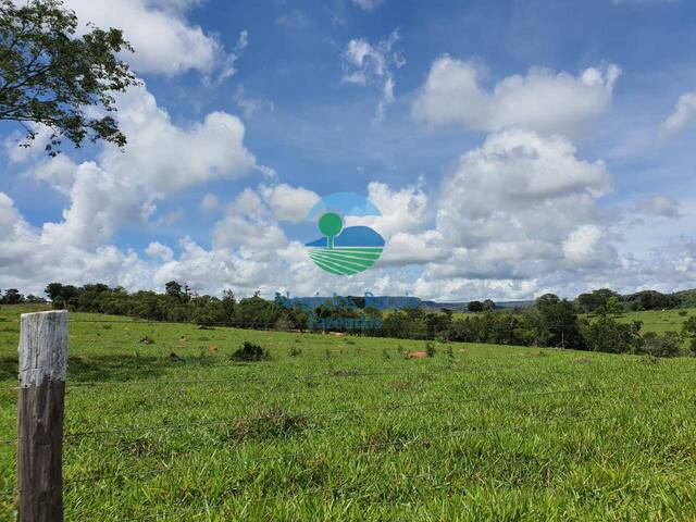 Fazenda para Venda em Montividiu - 3