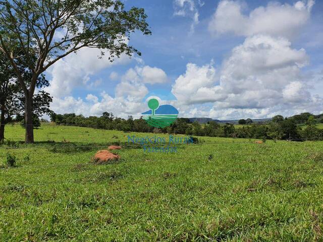 Fazenda para Venda em Montividiu - 3