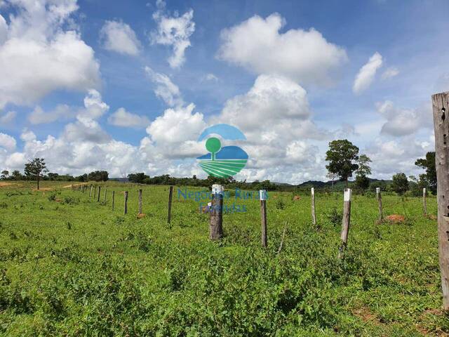 Fazenda para Venda em Montividiu - 5