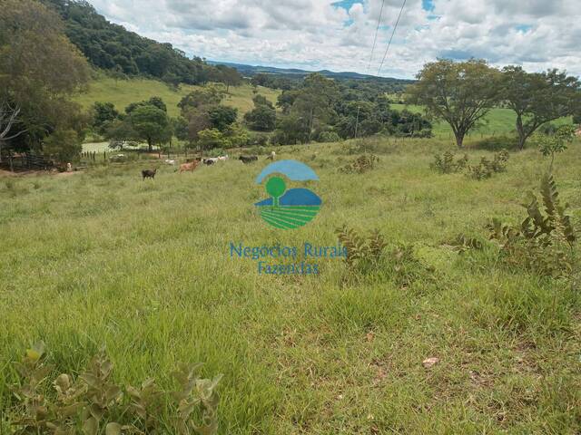 Fazenda para Venda em Edealina - 2