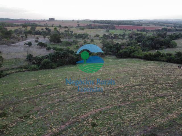 Fazenda para Venda em Edealina - 5