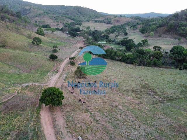 Fazenda para Venda em Edealina - 4