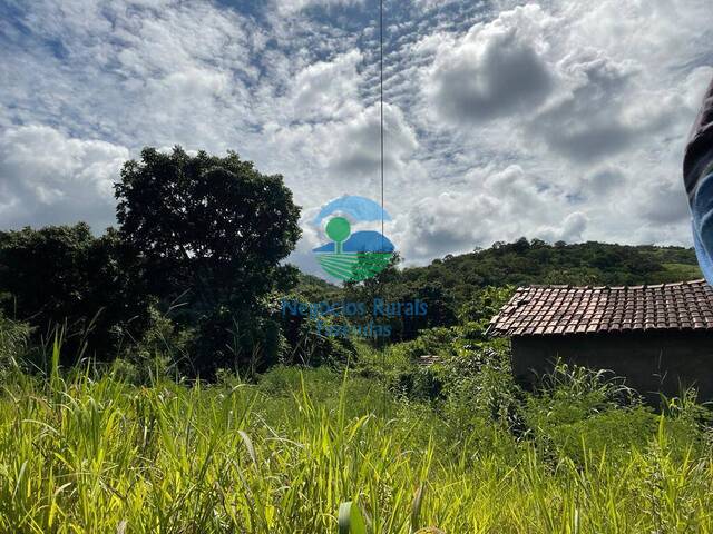 Fazenda para Venda em Nova Iguaçu de Goiás - 5
