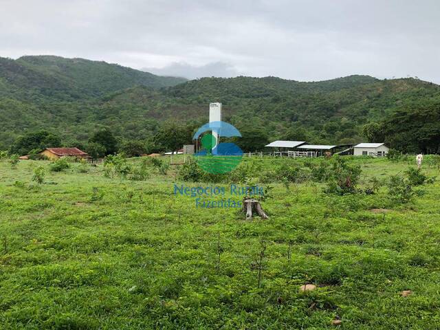 Fazenda para Venda em Nova Iguaçu de Goiás - 4